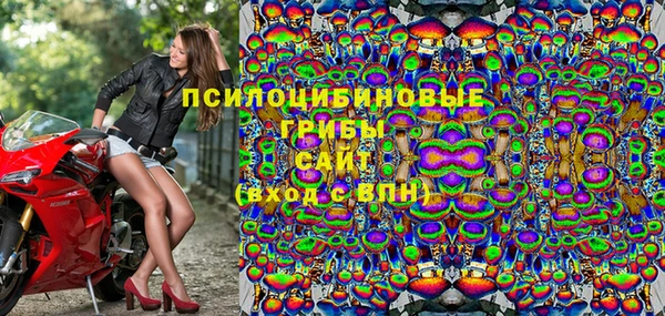 мдпв Балахна